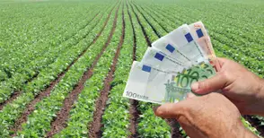 2122 земеделци от Русенско получат  първи плащания за площ през декември