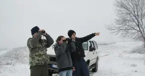 Студът прогони птиците от влажните зони