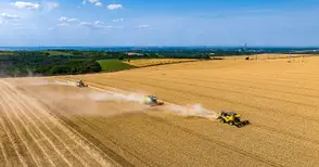 Рентата за ниви край Русе надхвърля психологическата граница от 100 лева