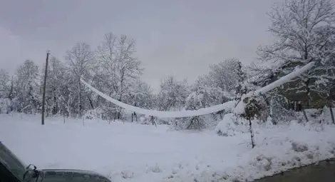 Близо 25 хиляди абонати са без ток в страната 