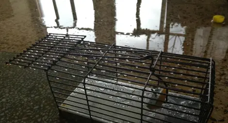 Наводнена е школата на физика Теодосий Теодосиев в Казанлък /галерия/