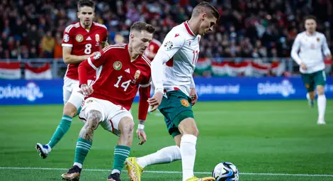 Дузпа: С копаница срещу чардаш и Кръстаич не успя да изплува от блатото БФС