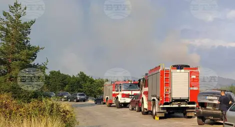 Снимка: БТА