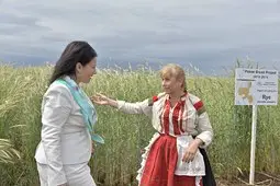 Танева меси хляб в Кубрат /галерия/