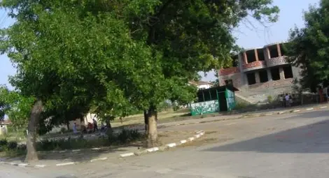 Частна охрана отърва от крадци видинско село