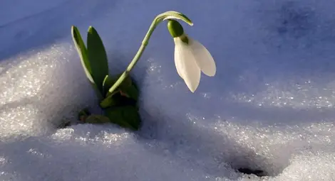 Проф. Георги Рачев: Валежи и вероятност за сняг през новата седмица