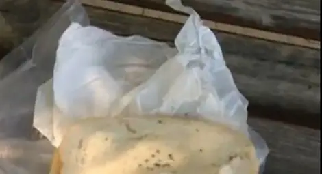 Пробутват мухлясали сандвичи на доброволците в "Аспарухово"