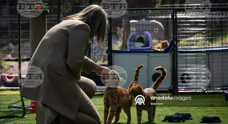 Снимка: БТА Снимка: БТА