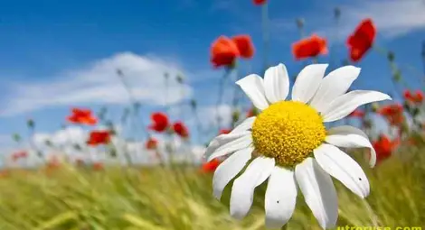 Прогноза за времето за 17 април 2013 г.