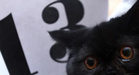 Петък 13-и е само един тази година