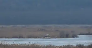 Пеликаните в Сребърна обещават затопляне