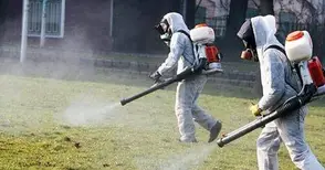 Русе и Гюргево пръскат заедно срещу комари