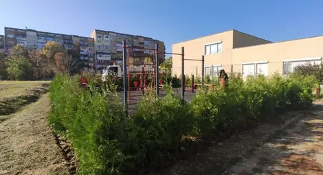 300 нови дървета и храсти допълват 60-хилядното зелено богатство на Русе