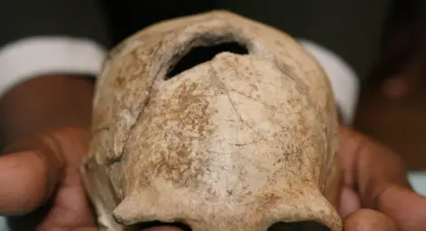 И друг човешки вид оцелял през Ледникова епоха