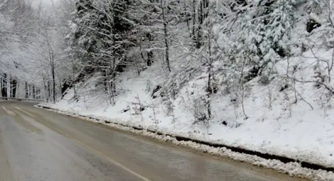 Жълт код за силен вятър и снеговалеж утре в Русе и областта
