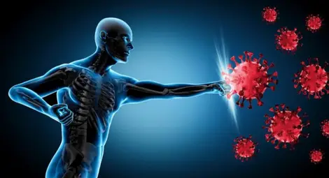 Учени откриха как се формира вроденият имунитет