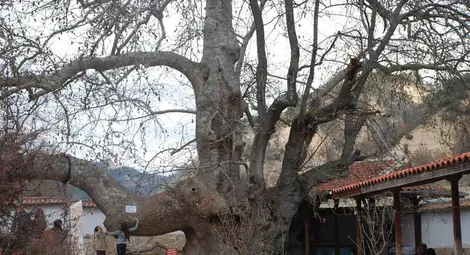 Очите й не виждат нищо, но сърцето й знае всичко