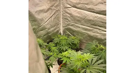 Пет мобилни нарколаборатории, открити на два адреса в Русе Пет мобилни нарколаборатории, открити на два адреса в Русе