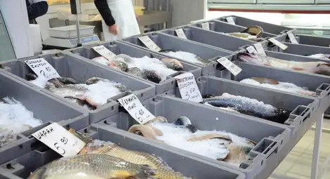 Риба за всеки вкус и за всеки джоб в магазин &bdquo;Дунав&ldquo; за Никулден