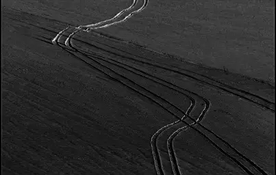 Младен Миланов със златен медал на Американската фотографска общност