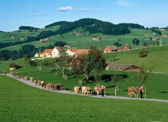 Заявяването на агросубсидии за 2017 г. се удължава до края на май Заявяването на агросубсидии за 2017 г. се удължава до края на май