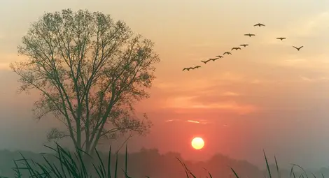 НИМХ: В първото десетдневие на октомври температурите ще се понижат