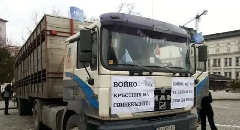 Камион прасета се включи в протеста в подкрепа на кабинета