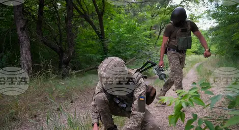 Снимка: БТА