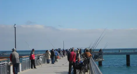 Ремонтираният мост в Бургас "окупиран" от рибари