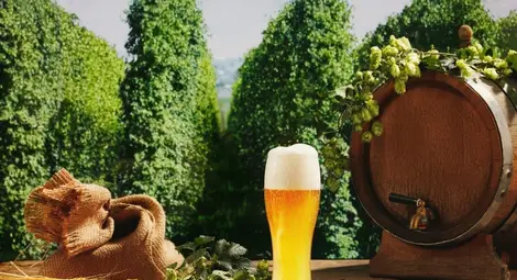 По-добре корем от бира, отколкото гърбица от работа: Русе дели 2-3 място по пиене на бира с пълната с летовници Варна