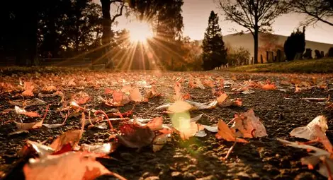 Идва второ циганско лято!