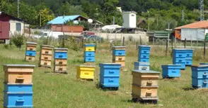 Пчеларите скочиха срещу законопроект  за изнасяне на кошерите извън селата