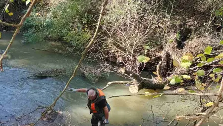 Почистиха коритото на река Черни Лом край село Пепелина&nbsp;от паднали дървета и клони