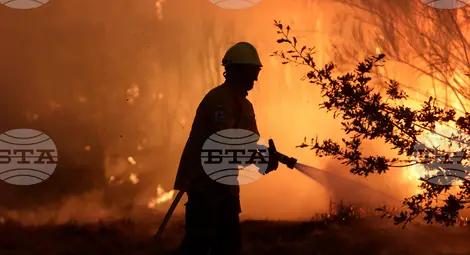 Снимка: БТА