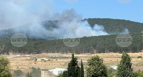 Снимка: БТА