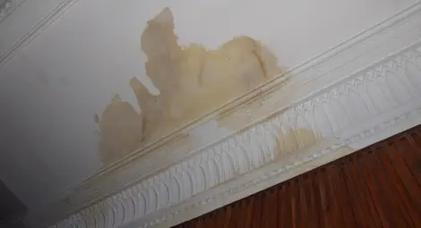 Протече и покривът на зала &bdquo;Филхармония&ldquo;