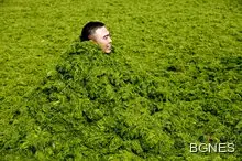 Вирус прави 50% от хората на планетата по-глупави