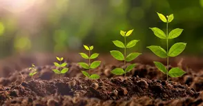 Разясняват на русенските фермери схемите за директни плащания