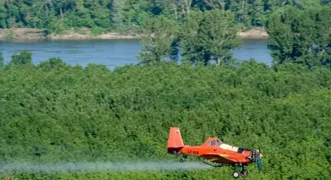 Общината обяви отдалеч поръчка за пръскането срещу комари