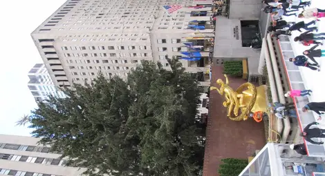 Провокацията Ню Йорк