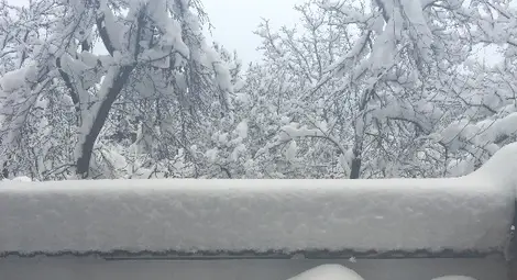 Пощите имат проблеми с доставянето на парите за пенсии в бедстващите райони