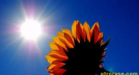 7 температурни рекорда до 15.00 часа 7 температурни рекорда до 15.00 часа