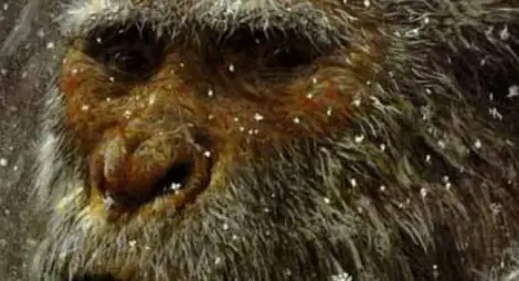 Учени: Йети съществува Учени: Йети съществува