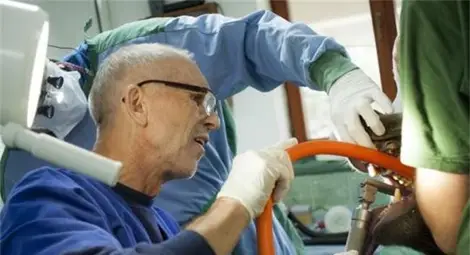 Немски доктор пломбира зъбите на мечките в Белица