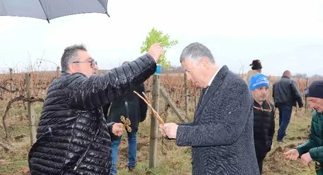 Станчо Цанков спечели конкурса за най-добро червено вино на Трифон Зарезан в Пиргово