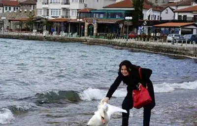 Лебедът Джордж преживял селфито с българка