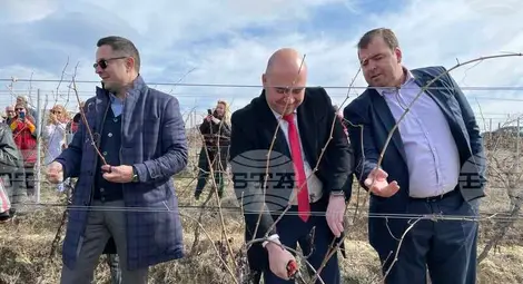 Снимка: БТА