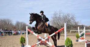 Отглеждани в Русе 10 породи коне дефилираха на Тодоровден