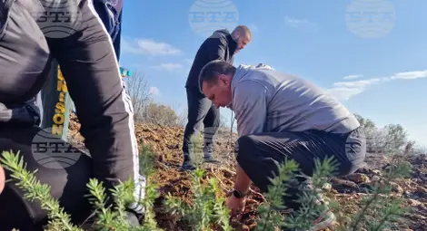 Снимка: БТА