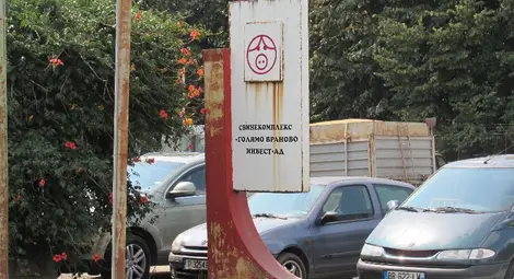 Комплексът в Голямо Враново окончателно загуби битката за спасяване на 18 000 прасета